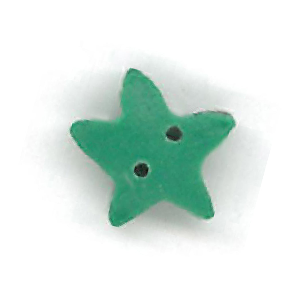 small evergreen star