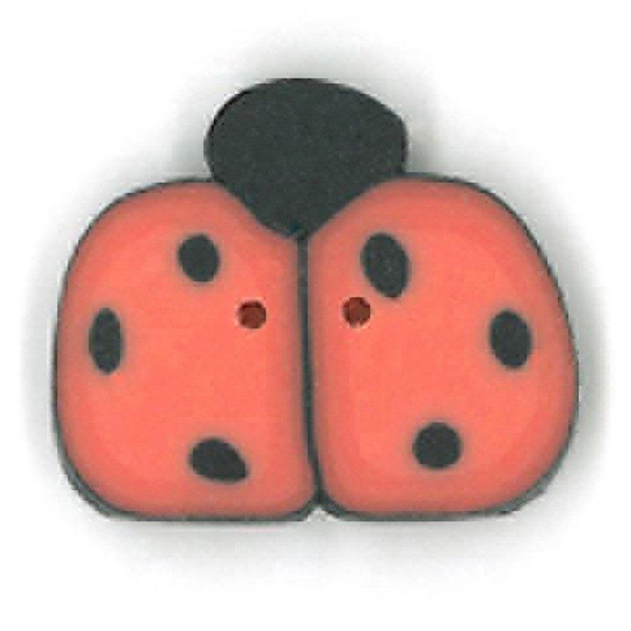 medium orange ladybug