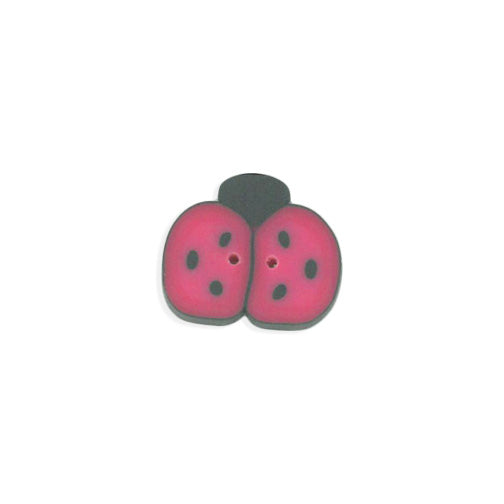 strawberry ladybug