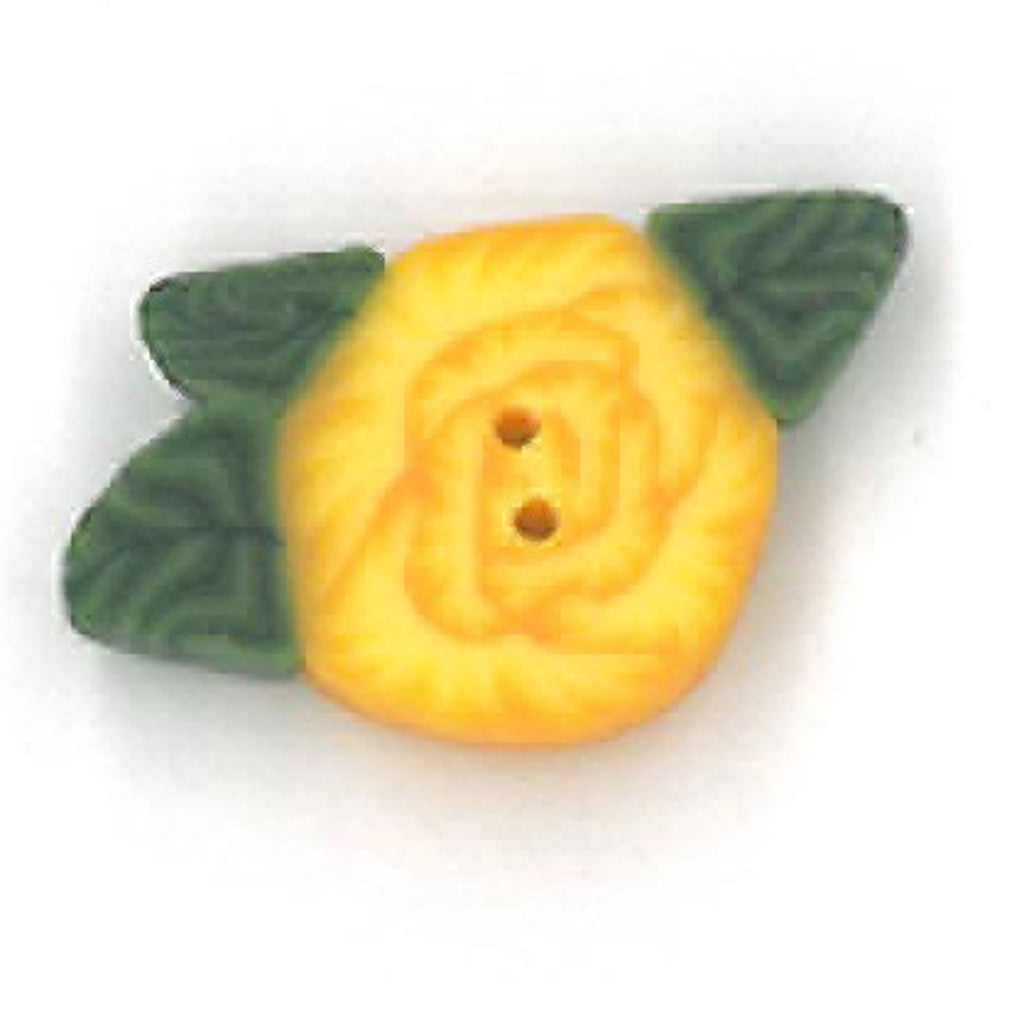 Judy's tiny yellow rose