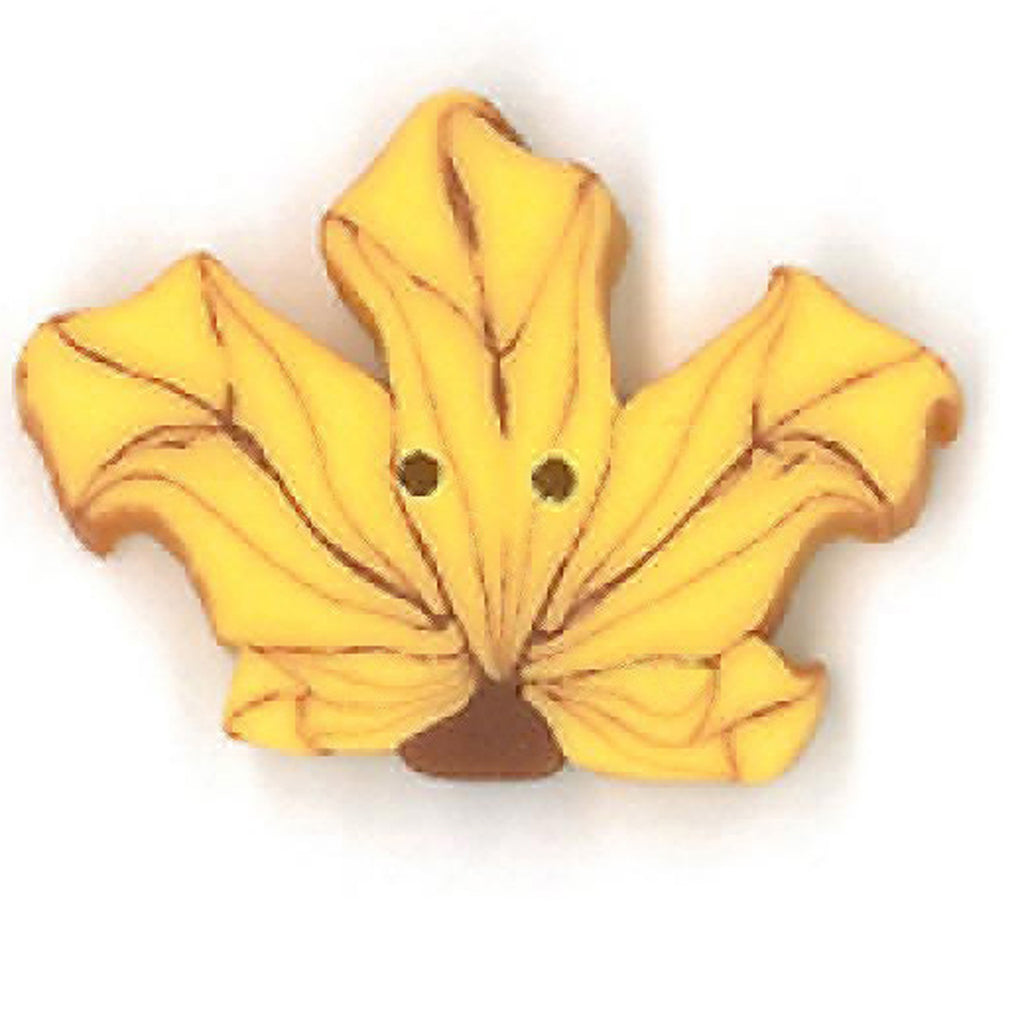 small yellow maple leaf
