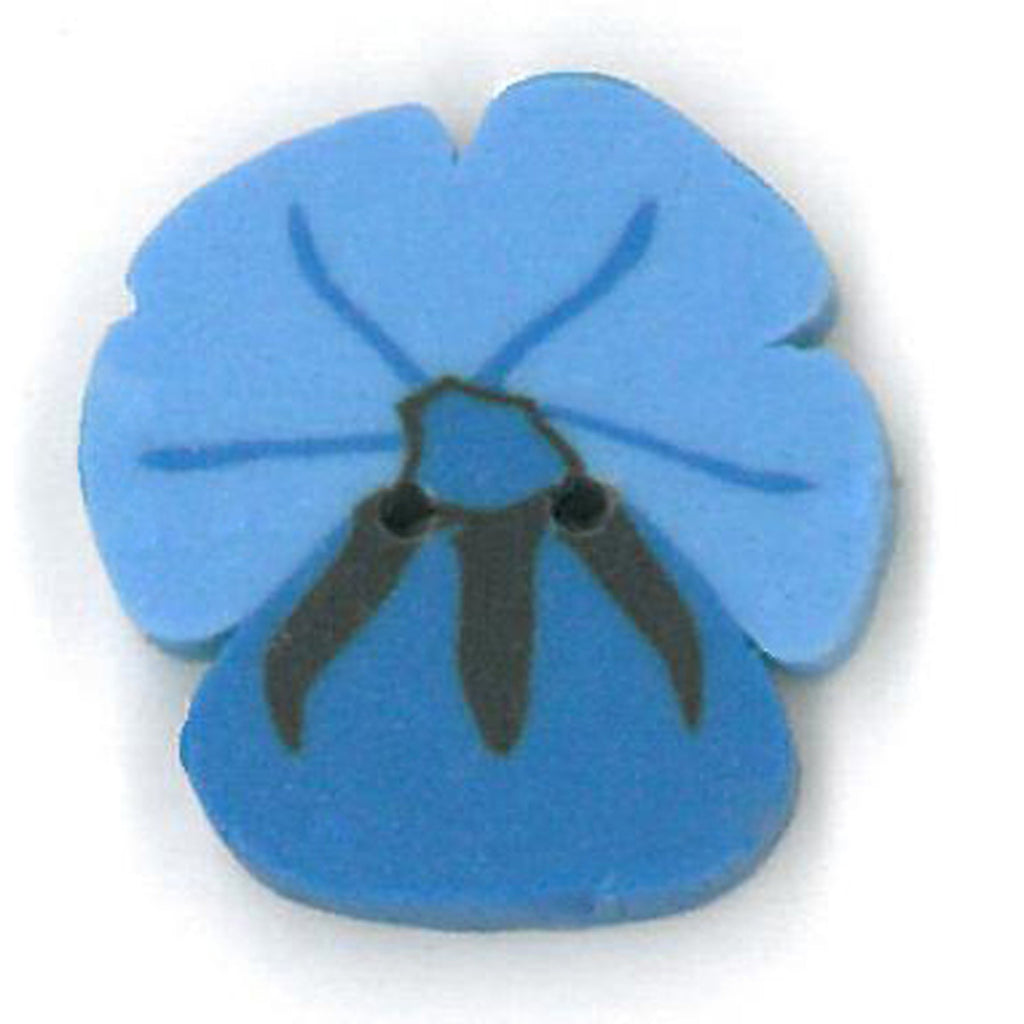 small blue pansy