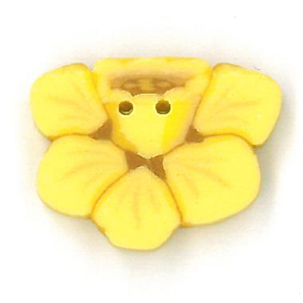 tiny daffodil