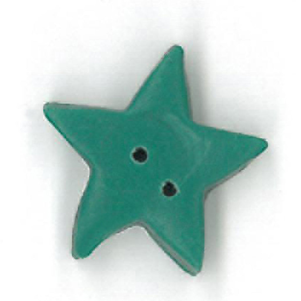 large evergreen star