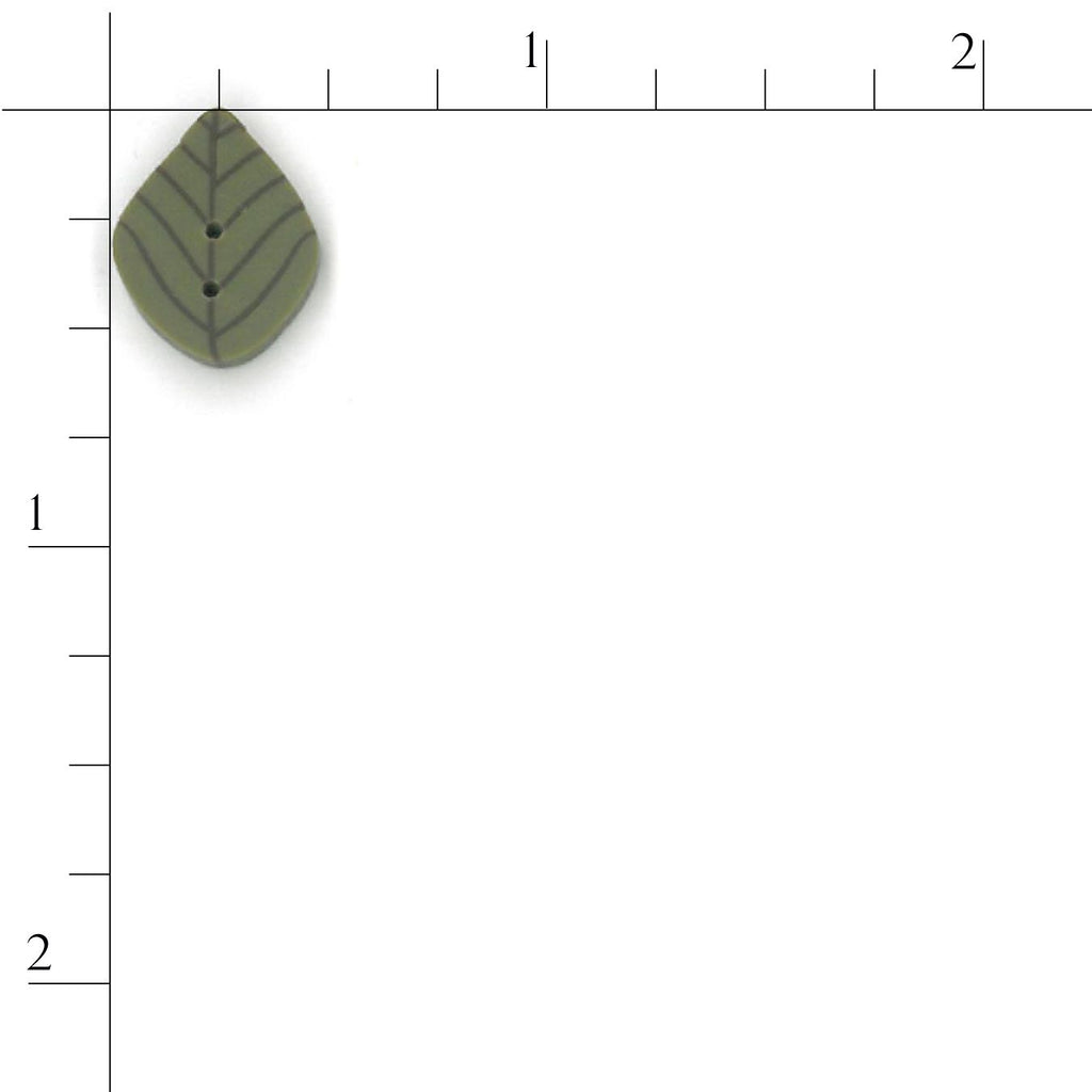 small olive leaf