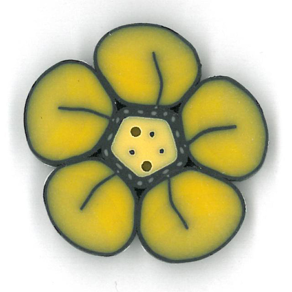large daffodil wildflower