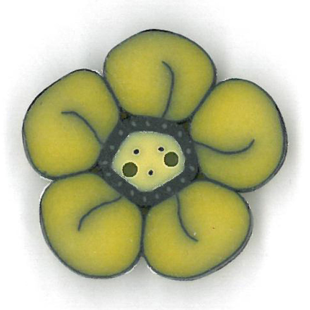 small daffodil wildflower