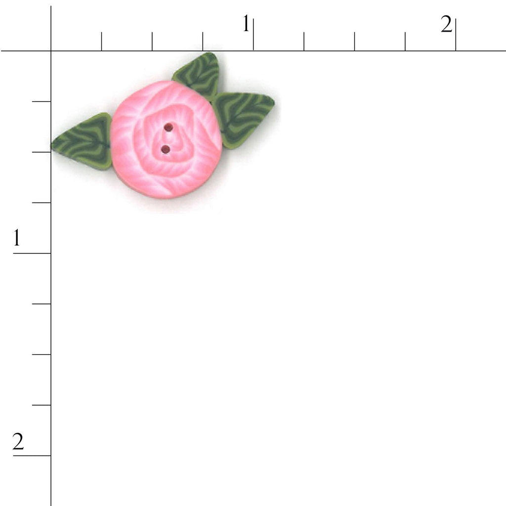 small pink rose
