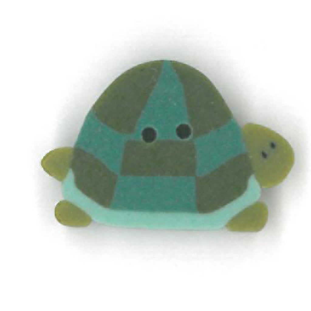 medium tortoise